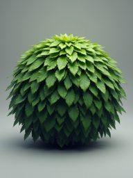 fo_bush