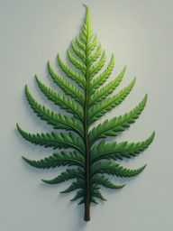 nt_fern