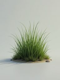 nt_grass_tuft