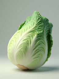 vg_chinese_cabbage